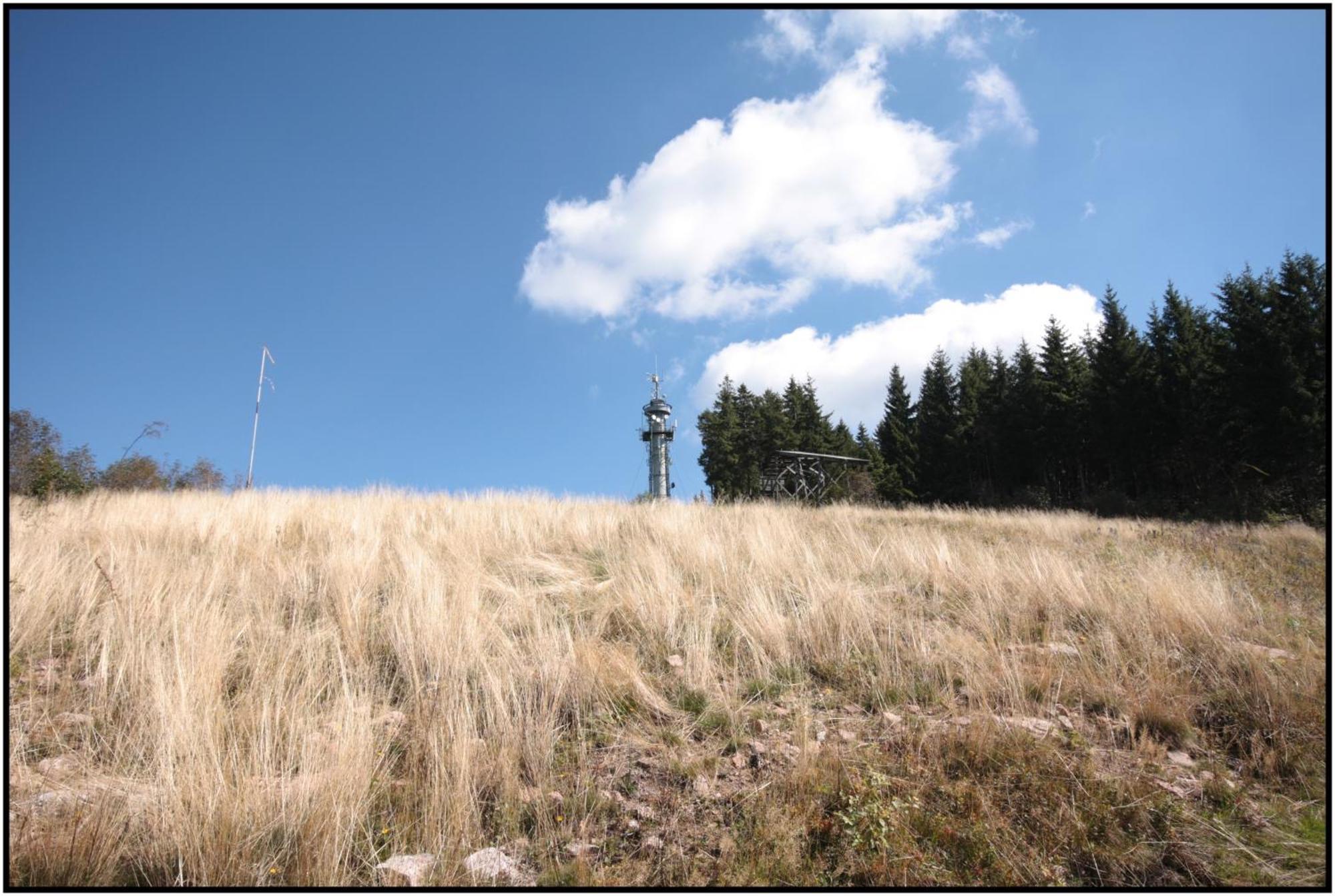 Pop-Up Stuub Feldberg Feldberg (Baden-Wurttemberg) Exterior foto